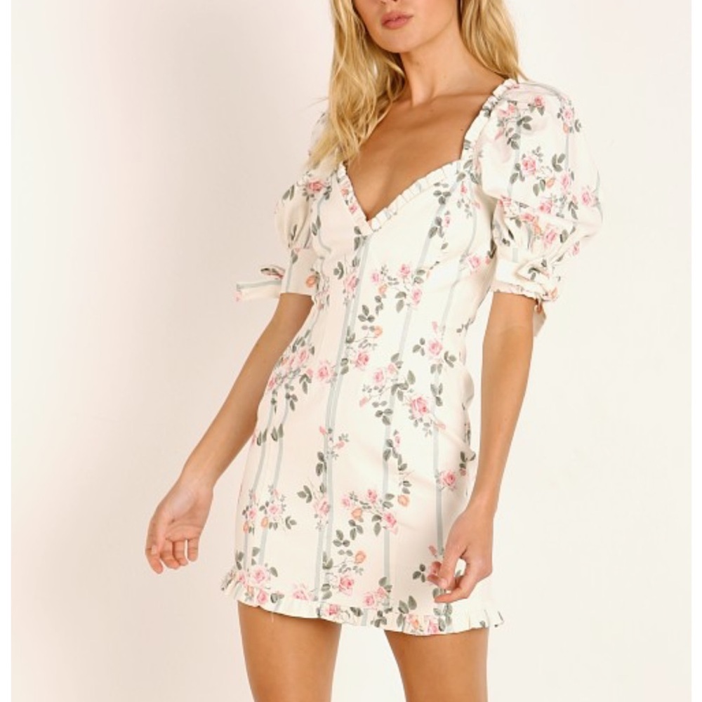 For Love & Lemons Rose Stripe Dress - never worn!!